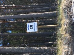 EDABCE34-F269-44B6-8A35-B616AB7C44F1.jpeg