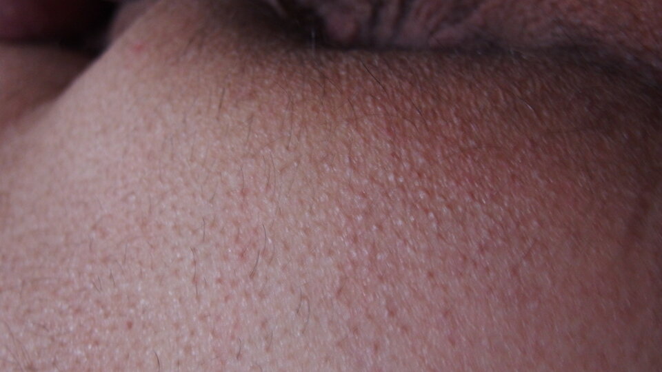 P5300355.JPG - Leeonidass