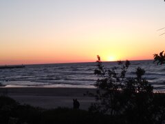 IMG_20200531_211819.jpg