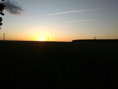 IMG_20200601_210155.jpg