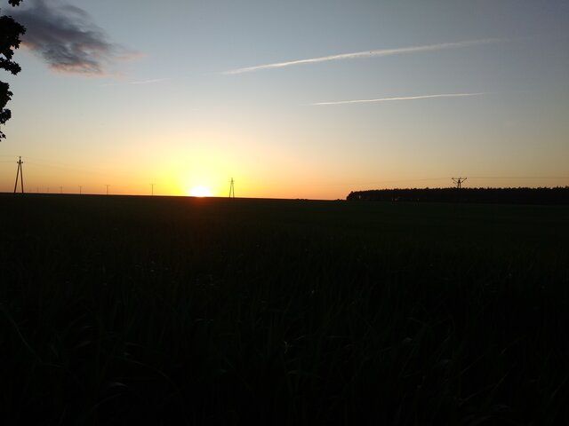 Olek_51