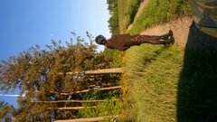 DSC_2682.JPG