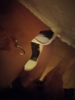 IMG_20200604_212212.jpg