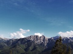 IMG_20200606_212236.jpg