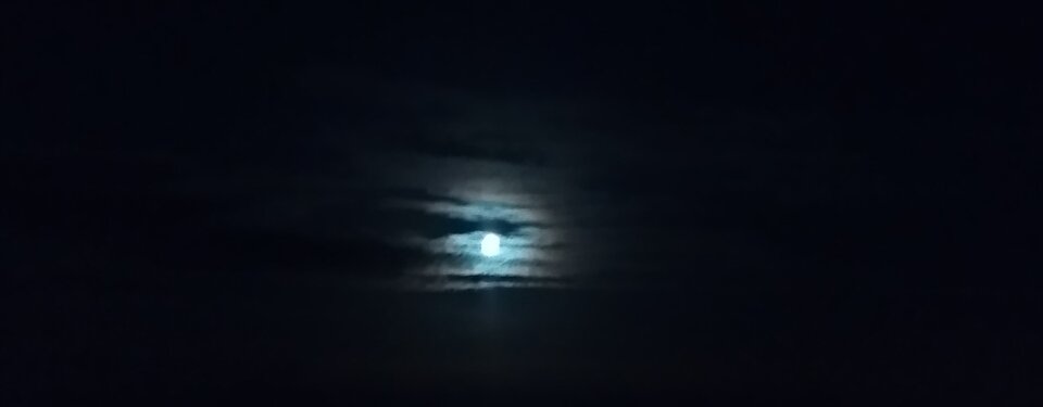 23:00 - phenisex