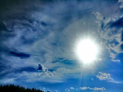 IMG_20200607_072704.jpg