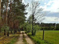 20200607_182521.jpg