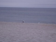 IMG_20200610_093029.jpg