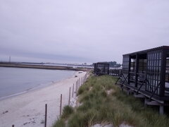 IMG_20200610_092634.jpg