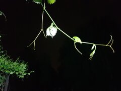 20200610_231027.jpg