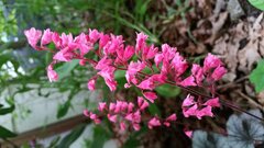 20200611_202551.jpg