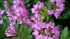 20200611_203004.jpg