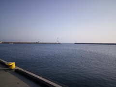 IMG_20200611_185033.jpg