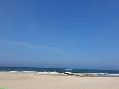 20200612_155115.jpg