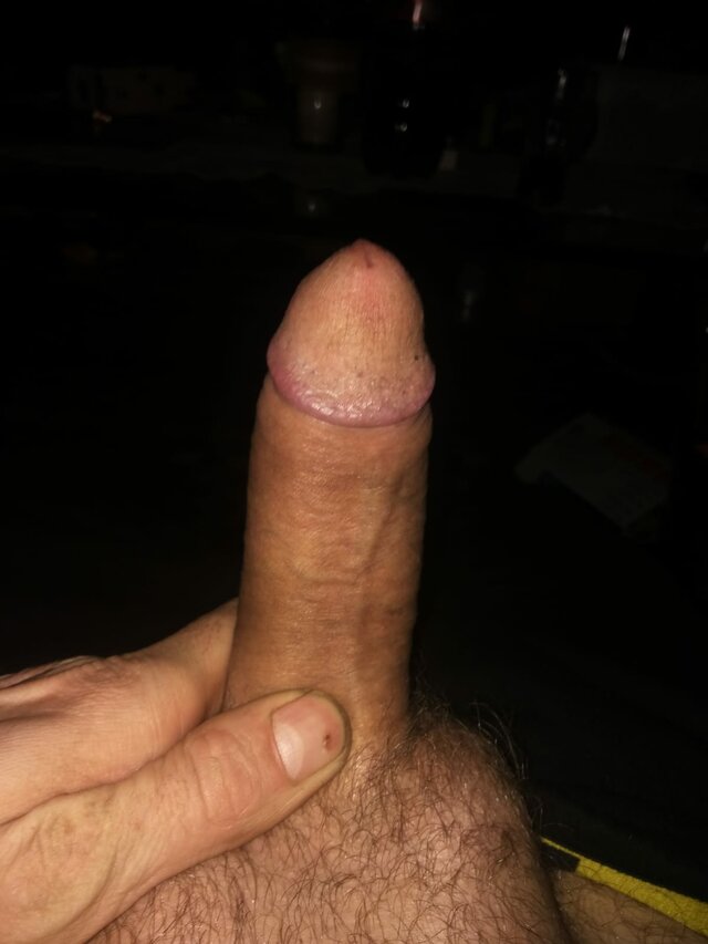 Arek0249