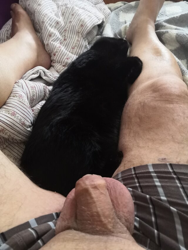 1Tauruss