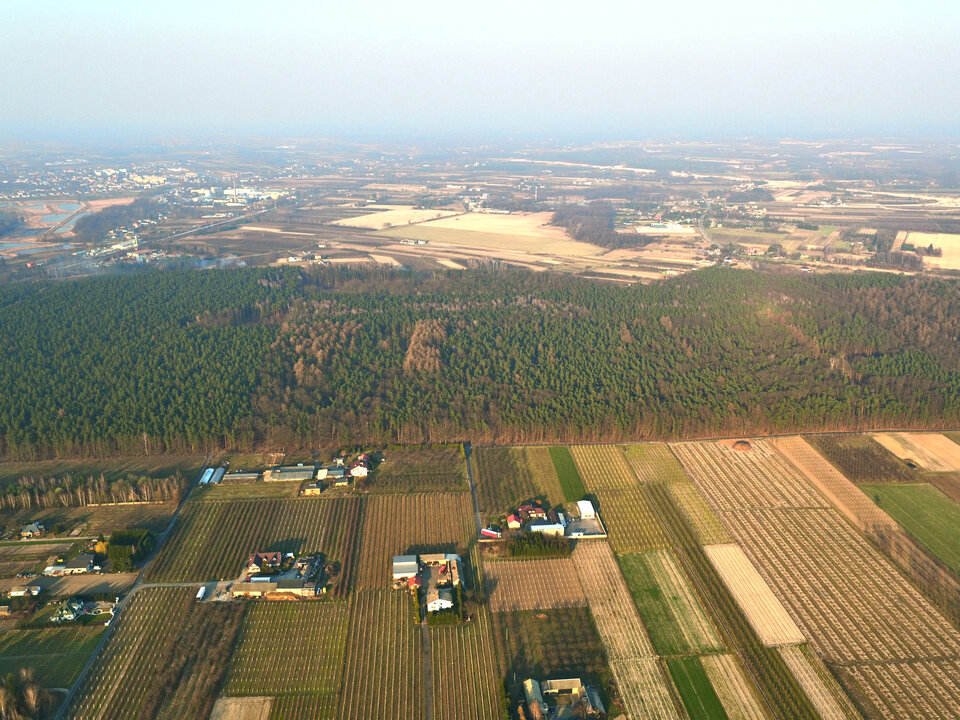 DJI_0557_01.jpg - FoKam431