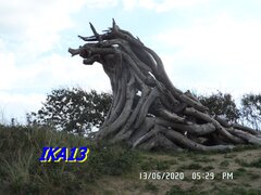 SAM_2638.JPG