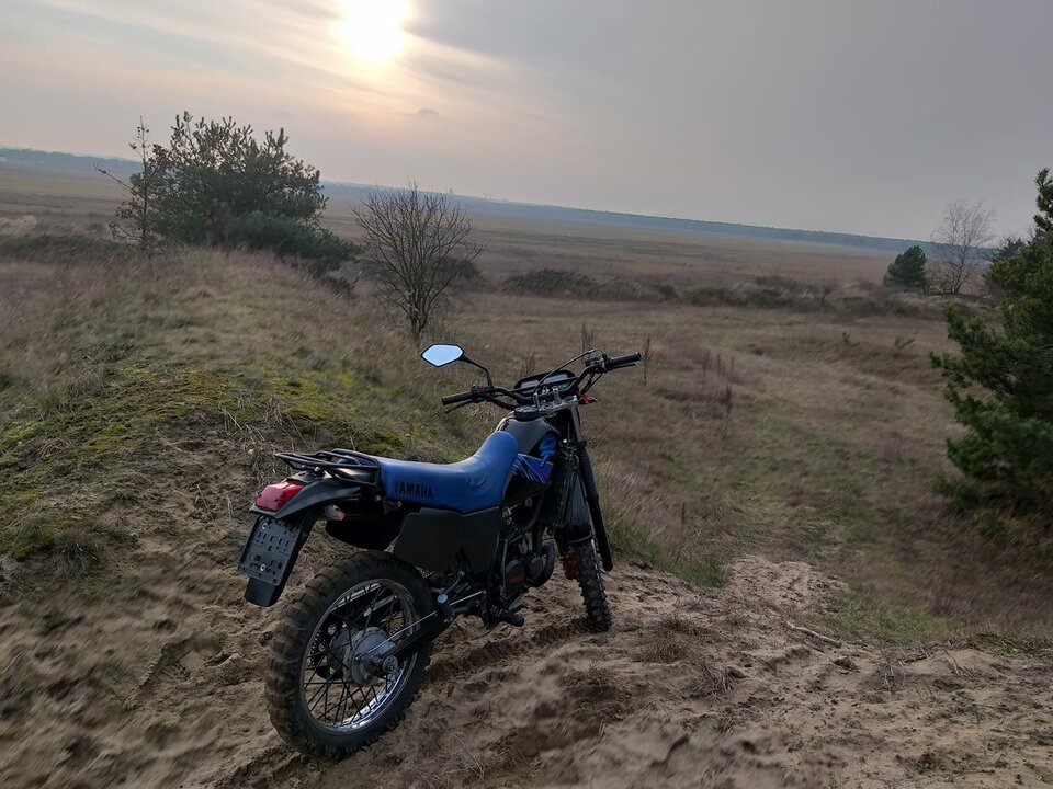 Yamaha.jpg - tomek3576