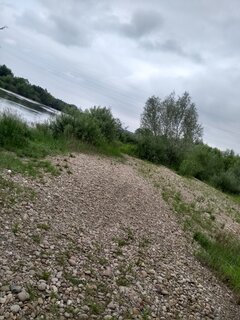 IMG_20200614_122211495.jpg