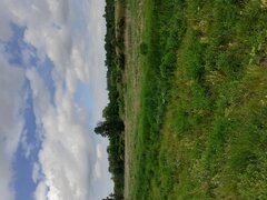 20200614_145656.jpg