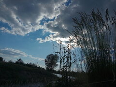 IMG_20200614_183748_303.jpg