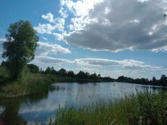 IMG_20200614_162339_761.jpg