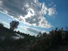 IMG_20200614_184458_992.jpg