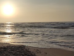 IMG_20200615_132353.jpg