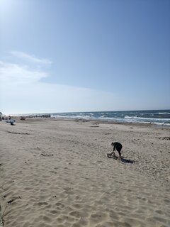 IMG_20200613_164938.jpg