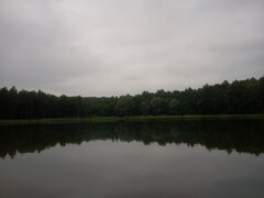 20200614_125040.jpg