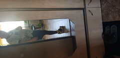 20200616_144547.jpg