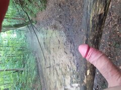 20200616_143428.jpg