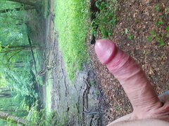 20200616_142254.jpg