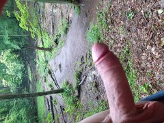 20200616_141307.jpg