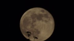 IMG_20200507_220400.jpg