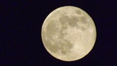 IMG_20200507_220406.jpg