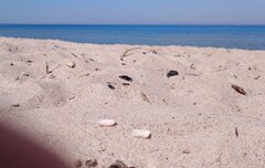 IMG_20200617_101030.jpg