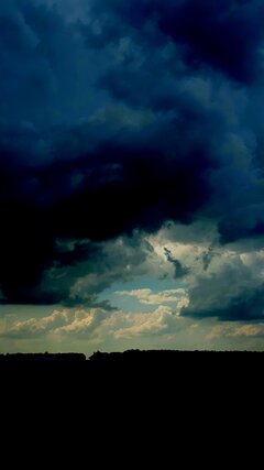 20200617_141542.jpg