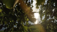 IMG_20200617_190154.jpg
