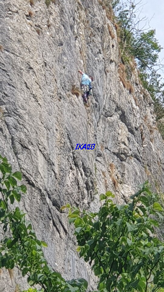 20200617_162412.jpg - ika13