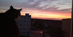 Przyjemności na noc 😘😘