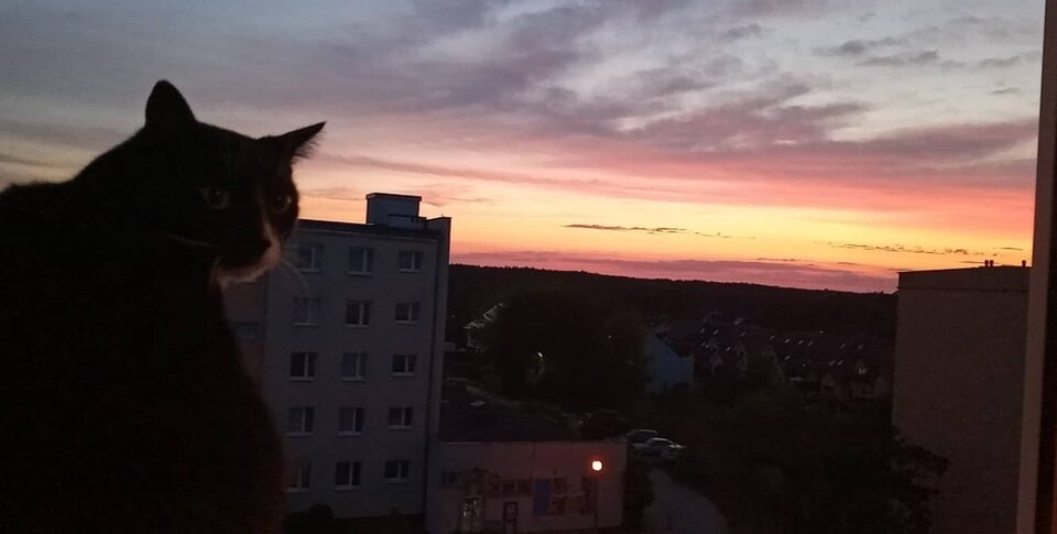 Przyjemności na noc 😘😘 - Ina69