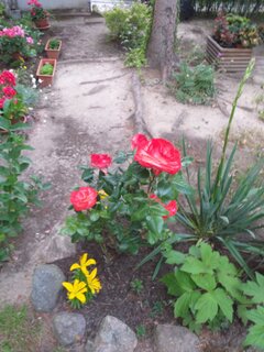 20200618_200541.jpg