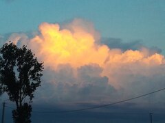 IMG_20200618_204441.jpg