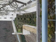 20200308_154258.jpg