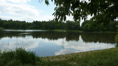 P1010373 (1).JPG