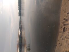 IMG_20200620_191324868.jpg