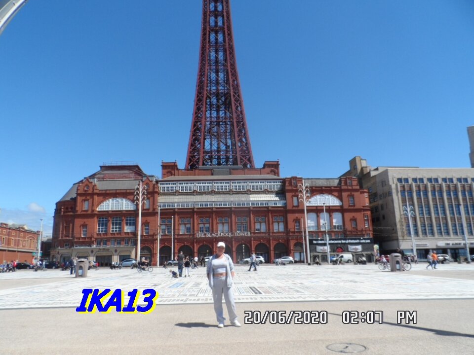 SAM_2731.JPG - ika13