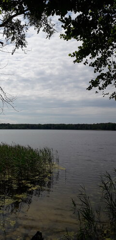 20200621_142633.jpg